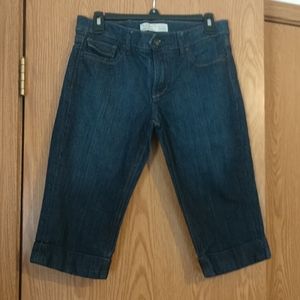 Brermuda type shorts